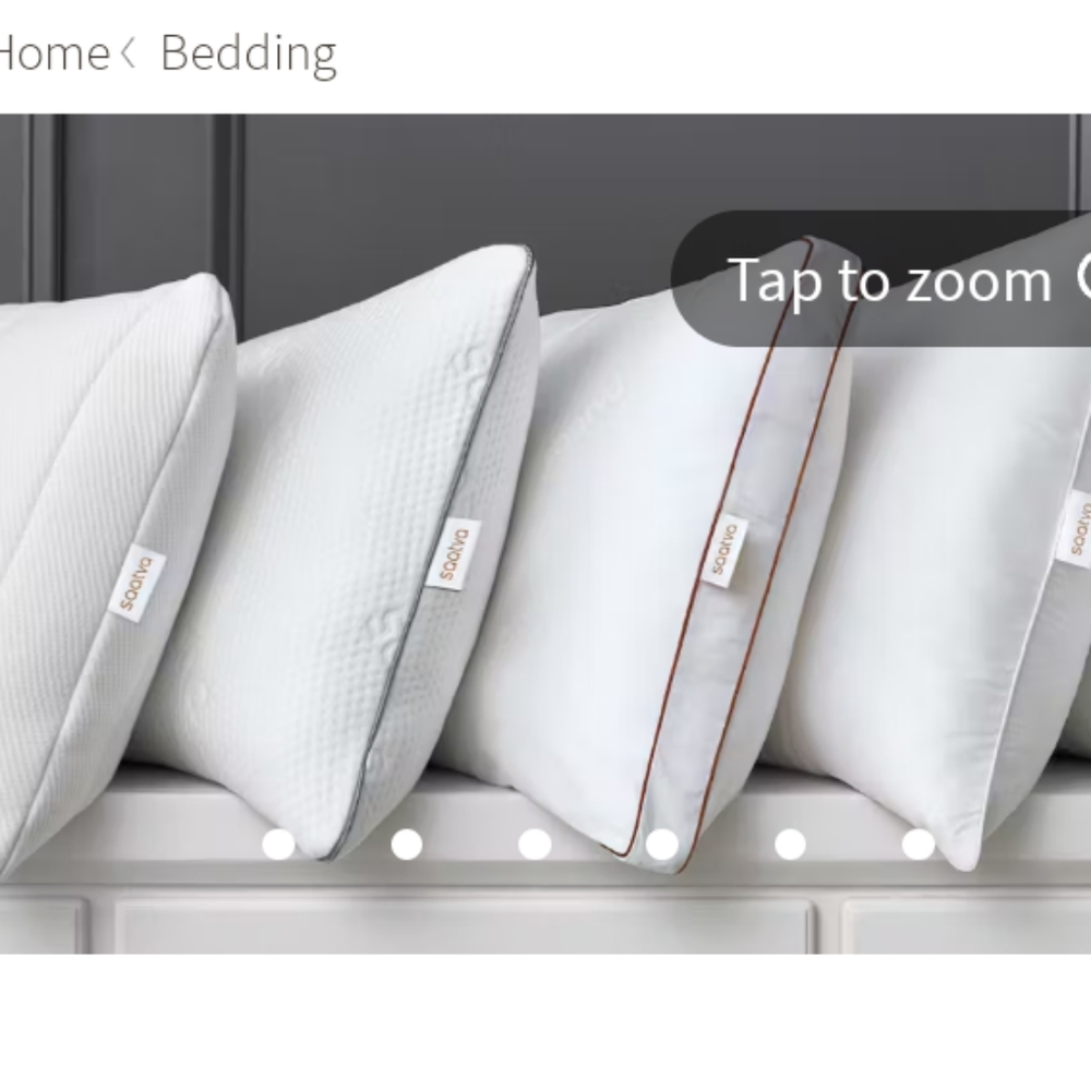 Set of 2 New Saatva Pillow